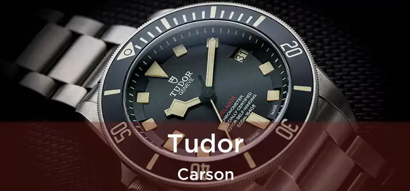 Tudor Carson