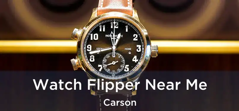 Watch Flipper Near Me Carson